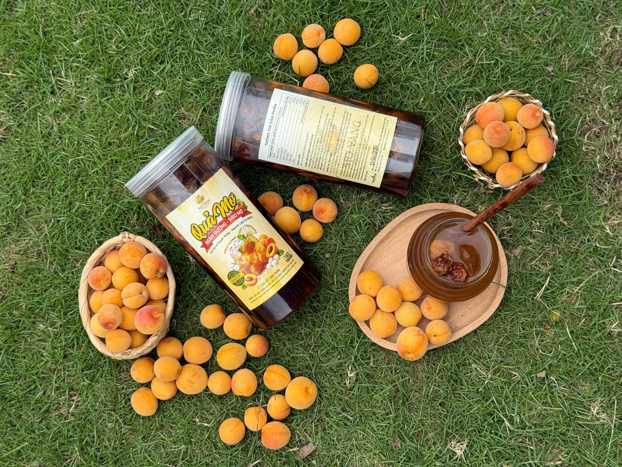 Quả mơ ngâm đường vị truyền thống an toàn vệ sinh thực phẩm