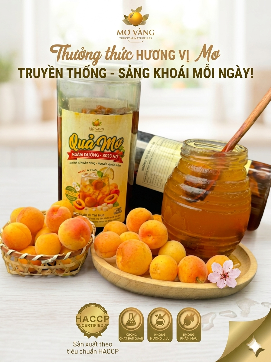 Quả mơ ngâm đường vị truyền thống sản xuất theo tiêu chuẩn HACCP