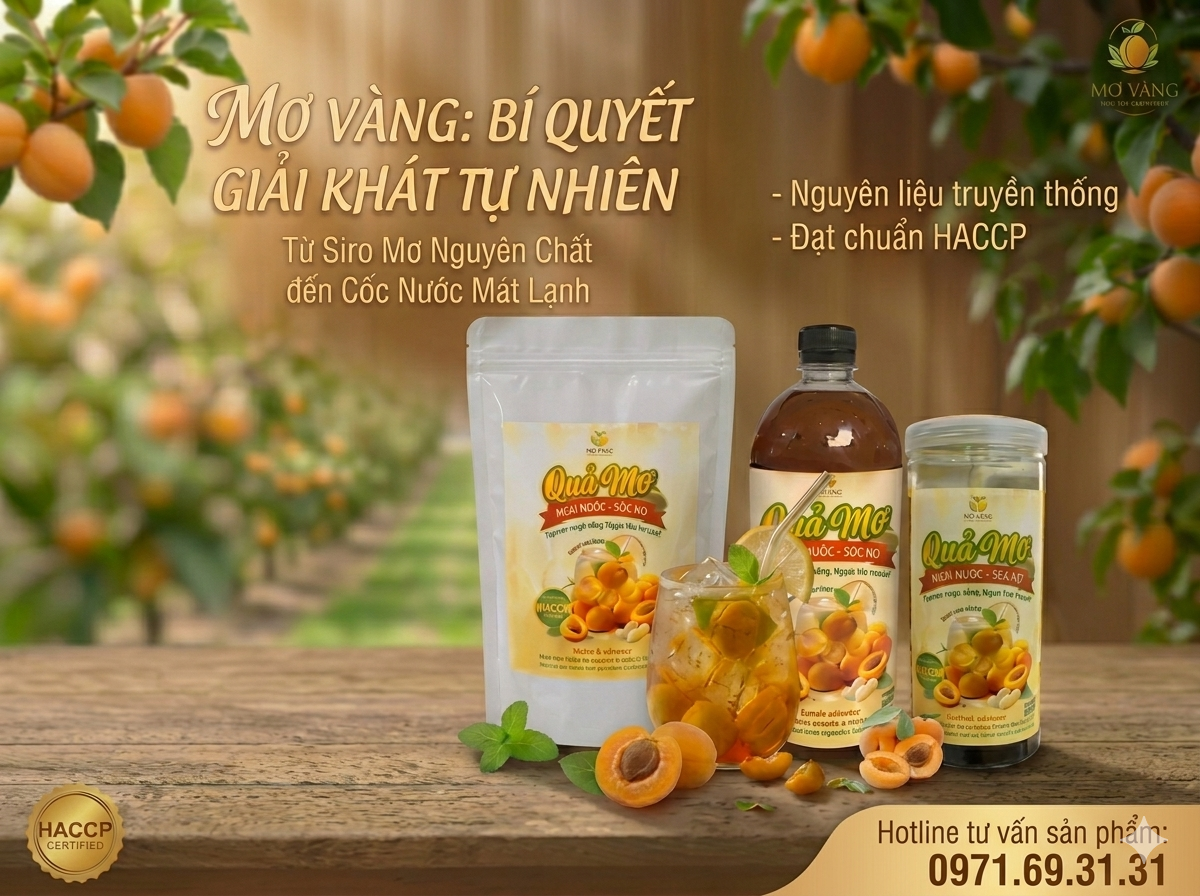 sản phẩm quả mơ ngâm đường - siro mơ