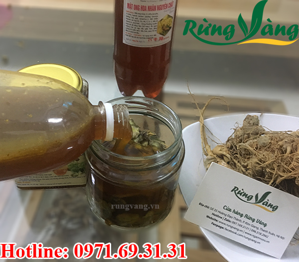 tam thất bắc tươi ngâm mật ong